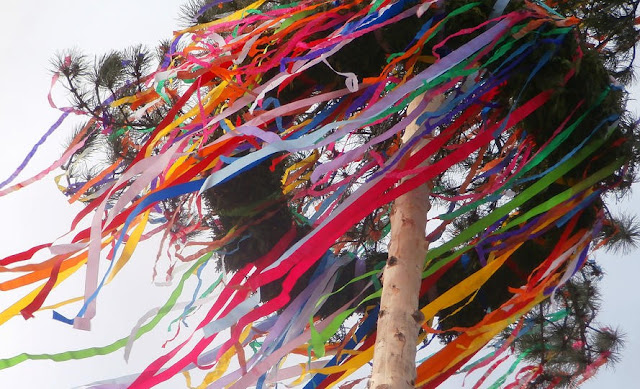 In Denmark the Maypole tradition is all but extinct. Originally, a real tree was used as dancers greeted the spring. Happily, we found a Maypole where the tradition is still observed, last spring south of Funen in Denmark.