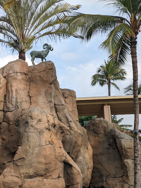 This stunning big horn sheep stands sentinel atop a rock above a pool at Hilton Waikoloa Village, near Makai, one of the beautiful hotels.