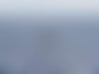 Whale bonanza as great grays head south to give birth, play in Baja