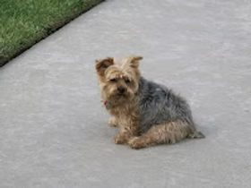 Nora is not certain she is enthused about a walk during a break between flights.
