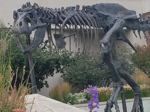 Museum of the Rockies Bozeman, Montana: college town, foodie haven, with nature, museums and more