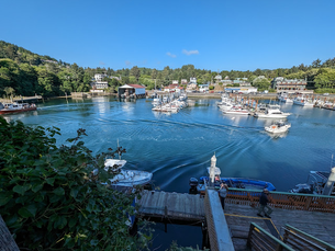 Have a whale of a time with resident visitors in Depoe Bay, Oregon
