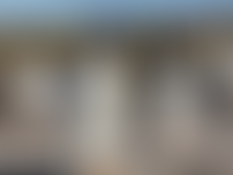 On the penguin trail: fascinating tours go far into the southern hemisphere for treasured viewing opportunities