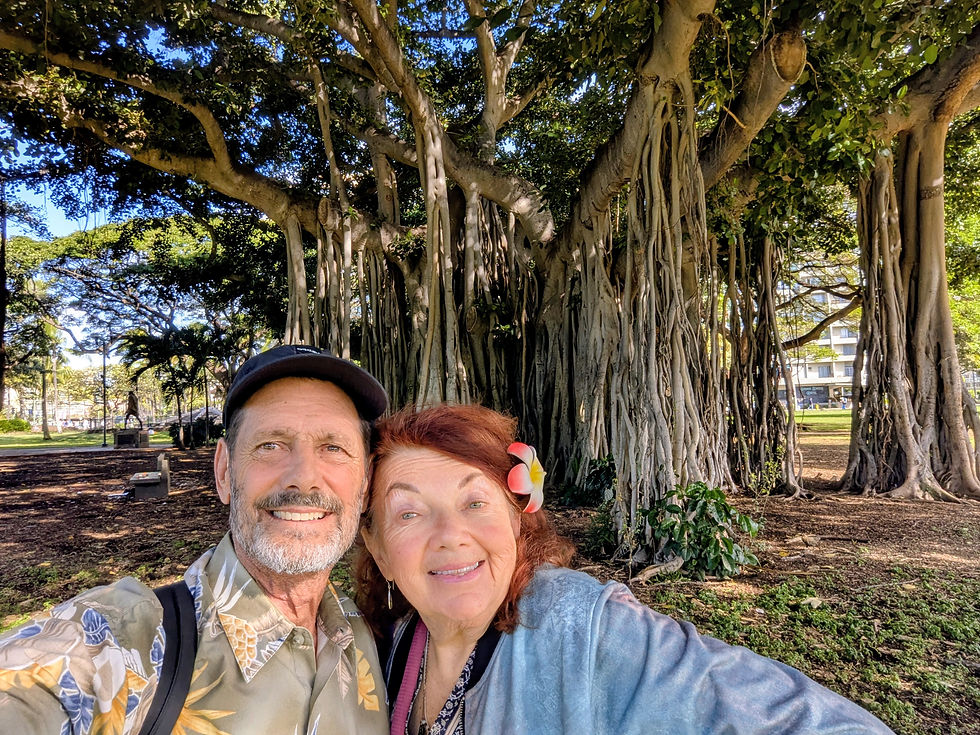 Keller and Cookie pause under a banyan by the zoo