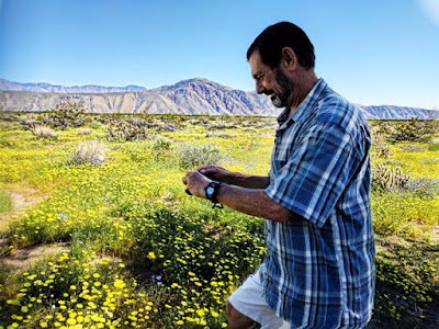 Bruce Keller takes a photographer's aim at Anza Borrego's wildflower mecca.