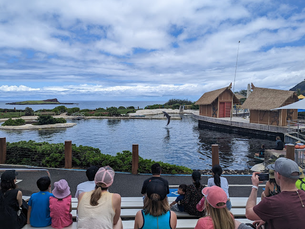 Popular Sea Life Park attracts animal loving visitors to Honolulu