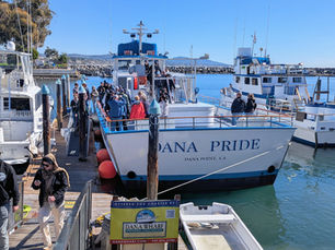 Whale watchers board the tour boat at Dana Point Harbor