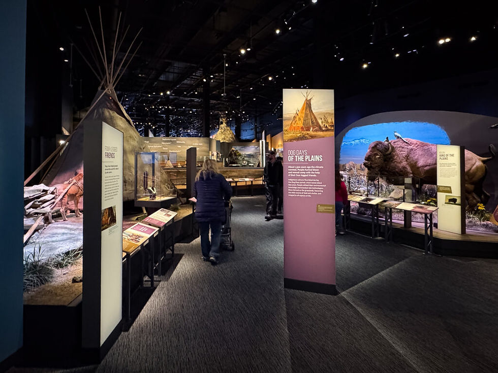 Exhibits at the museum include a fascinating look at the development of the Great Plains, and the display doesn't shy away from the near destruction of the bison, now a beloved icon of the West
