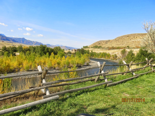 Wapiti Valley Wild and wonderful