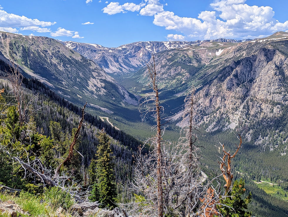 Panoramic mountain valleys as seen from the Beartooth Highway, above Red Lodge, Montana, with pine forests, snow-dusted peaks and a bright blue sky with clouds.