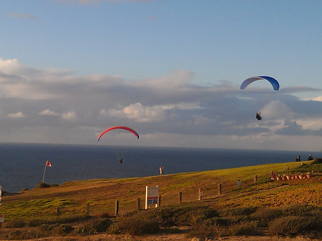 A gorgeous, golden afternoon brings out gliders galore to the famed Torrey Pines Gliderport north of San Diego, Calif.