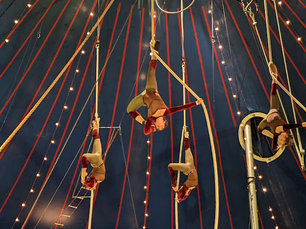 Show time: Zoppe Italian Family Circus hits the mark in the Big Top