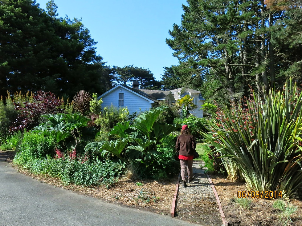 Lus gardens at B Bryan Preserve lead to the animals