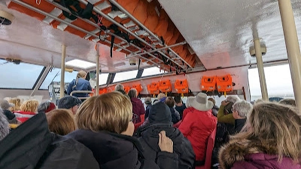 Passengers arrive for penguin viewing via the ship's tender