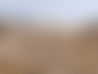 Delos famed Terrace of Lions.