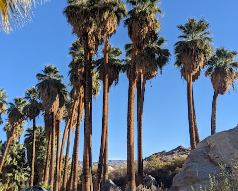 Desert Symphony notes 35th season with gala, 5-shows, Sinatra singer