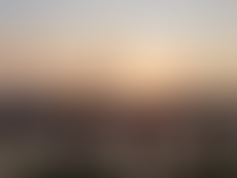 Plush Cavalier digs, elephant seals enhance cozy stop on Central California coast