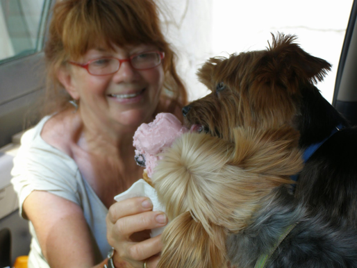 Cookie shares Julian apple pie with Nick & Nora.