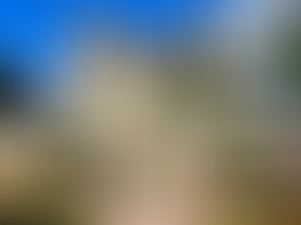 'Jewel of the South': Ponce's pleasures delight all year through 