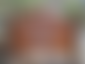 Wrigley gardens, museum, 'sky' airport celebrate Catalina's diversity