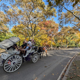 Autumn in New York: colors, sunshine, fewer crowds -- time to relish the city's fall splendor