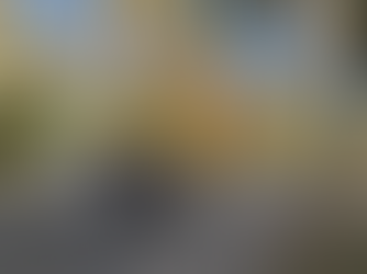 Autumn in New York: colors, sunshine, fewer crowds -- time to relish the city's fall splendor