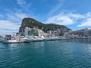 Dolphins delight: Monkeys, yes, but Gibraltar offers spectacular sea life 