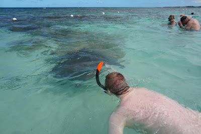 Swimming with the sting rays made for a memorable afternoon recently.