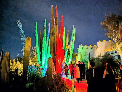 Botanical Garden showcases Scottsdale's unique desert plants