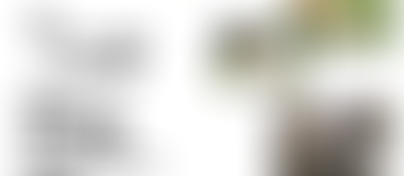 ９月のおさんぽ会🐶🍂