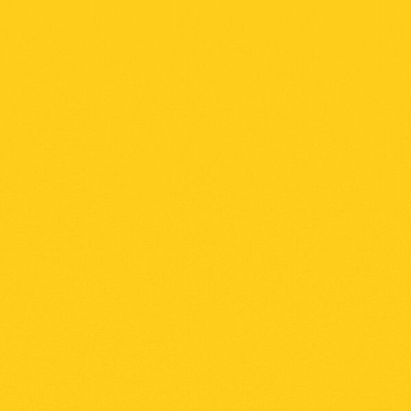YV Mckinsey.gif