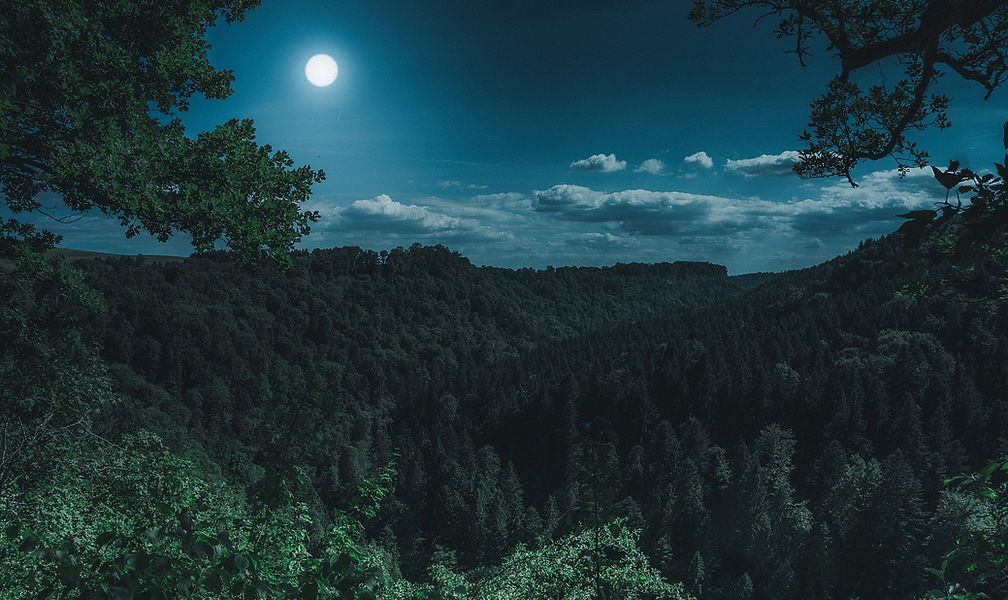 nature-3194001_1280.jpg
