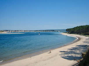 Screenshot 2021-02-22 at 14.02.38.png