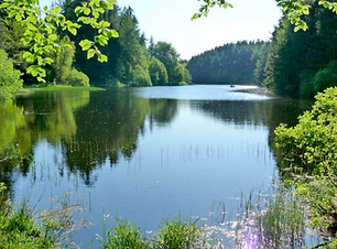 Screenshot 2021-02-22 at 14.03.58.png