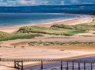 Screenshot 2021-02-22 at 13.59.28.png