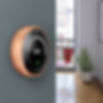 Nest thermostat control