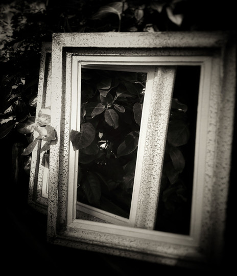 © Valérie Salvo Instants jardins