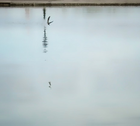 © Valérie Salvo Instants jardins