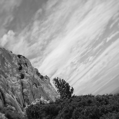 © Valérie Salvo Instants Nature