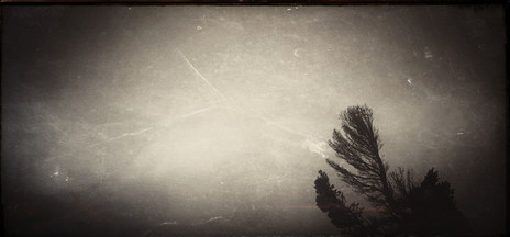© Valérie Salvo Instants Nature