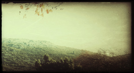 © Valérie Salvo Instants Nature