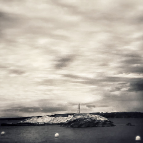 © Valérie Salvo Instants Nature