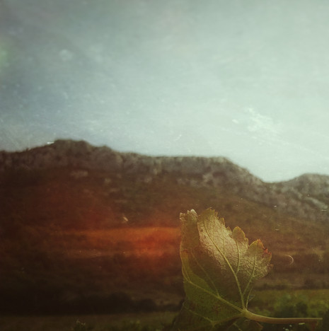 © Valérie Salvo Instants Nature