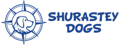 shurastey-logo-fonte-3.webp