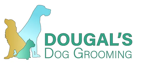 mobile dog groomers somerset