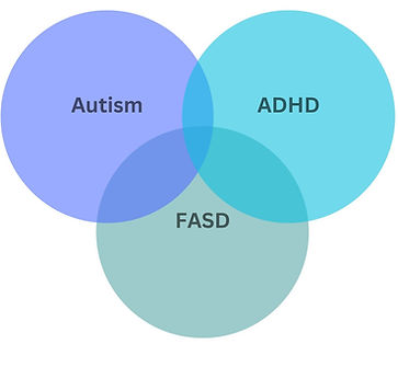 FASD Autism and ADHD overlap.jpg