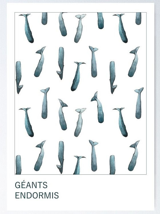 affiche motifs de cachalots endormis peints à l'aquarelle bleu et à l'encre sur fonds blanc.