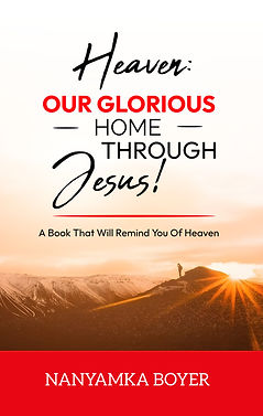 Professional Book Cover (1)_1775382237382.jpg