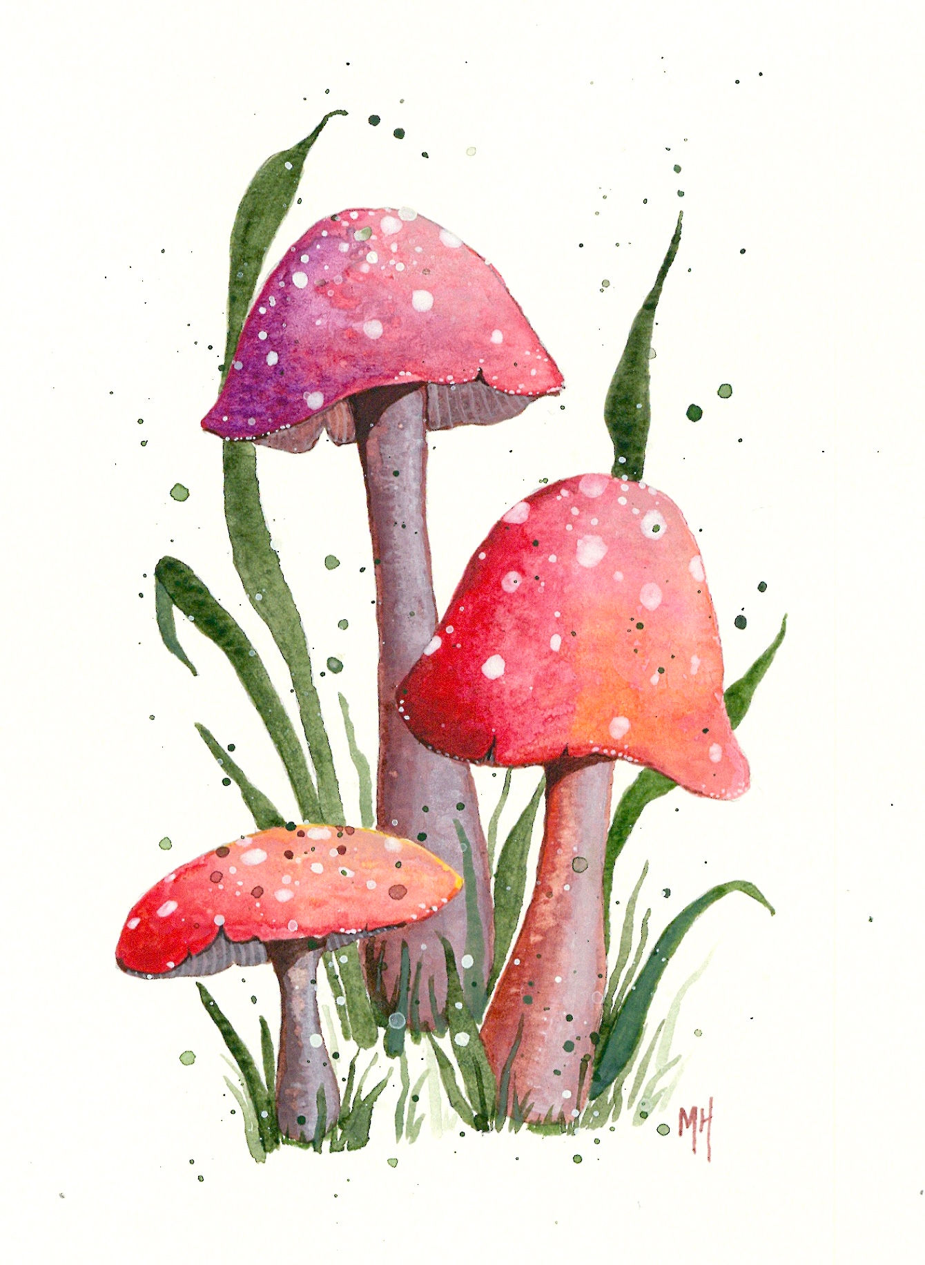 'Fly Agaric' Signed Giclée Fine Art Print