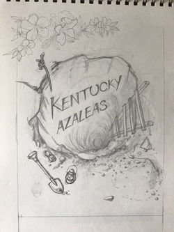 mmexport1531013079781